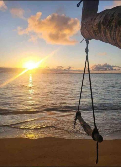 Breezy Beachfront Bali-Style Haven 180 Degree Oceanview Hau'ula Bagian luar foto